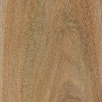 Acacia material texture
