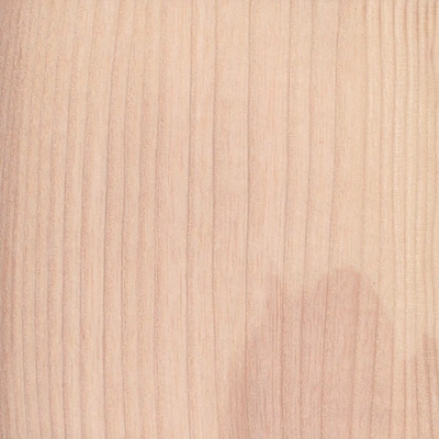 Ash material texture
