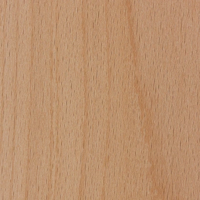 Beech material texture