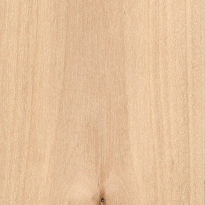Birch Black material texture