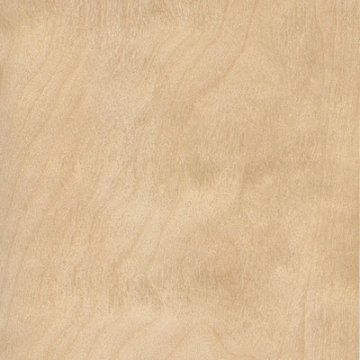 Birch material texture