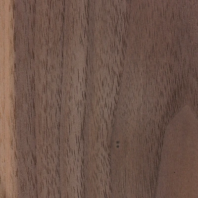 Black Walnut material texture