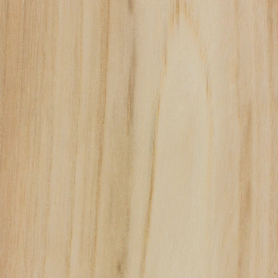 Candlenut material texture