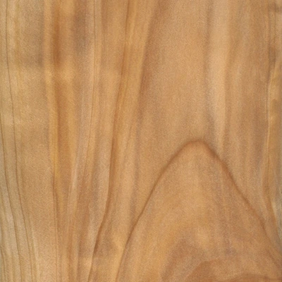 Cypress material texture