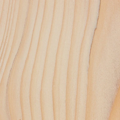Fir material texture