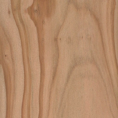 Japanese Cedar Fir material texture