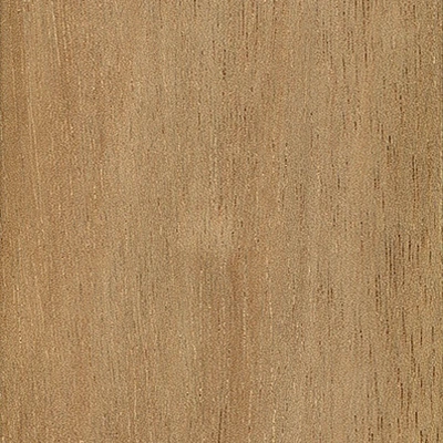 Lauan material texture