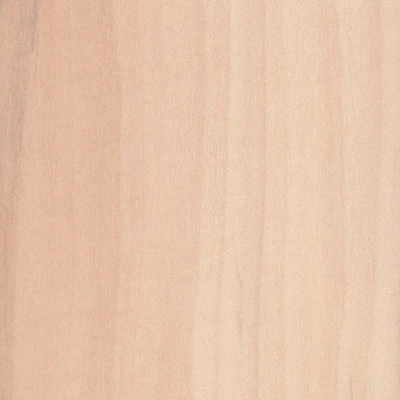 Lime tree material texture
