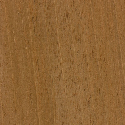 Mahogany material texture
