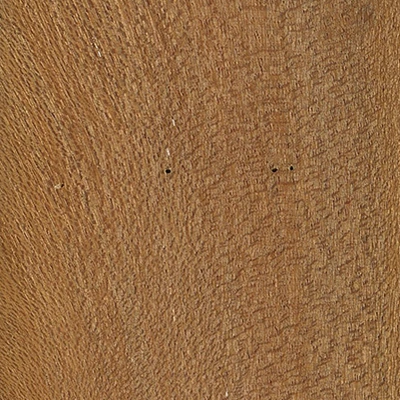 Meranti material texture