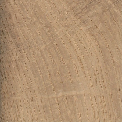 Oak material texture