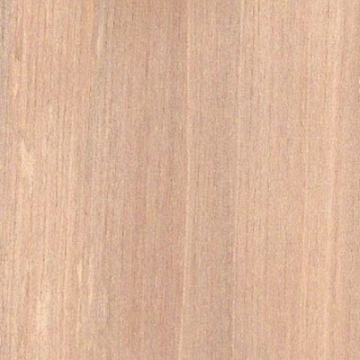 Planchonella material texture