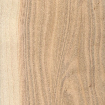 Poplar material texture