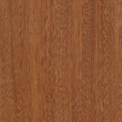 Santos material texture