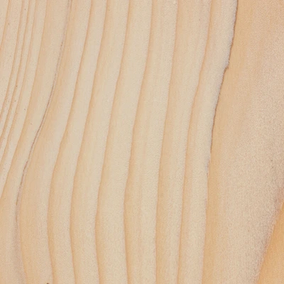 Tanne material texture