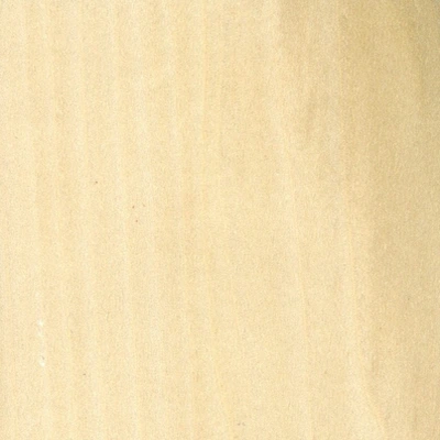 Tulip material texture