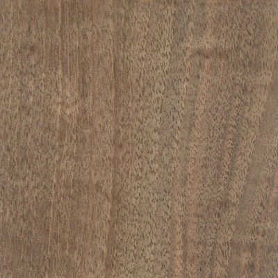 Walnut material texture