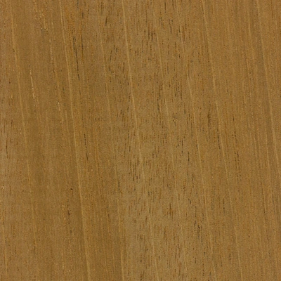 White Mahogany material texture