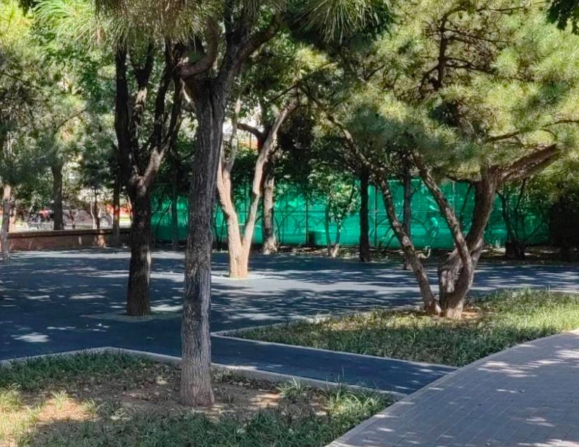 怡清园小区公园乒乓球场地场地图片2
