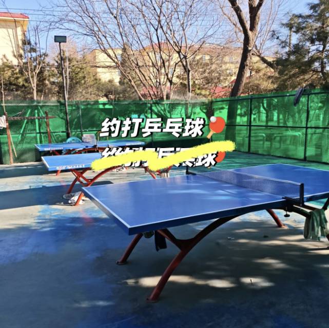 怡清园小区公园乒乓球场地场地图片1