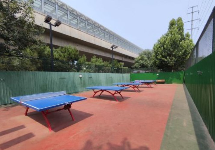 星城公园颐园乒乓球场场地图片1