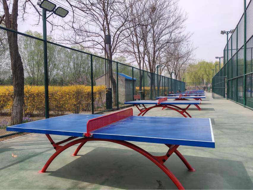 永乐店体育公园乒乓球场场地图片1
