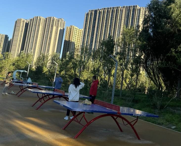 永定公园乒乓球场场地图片1