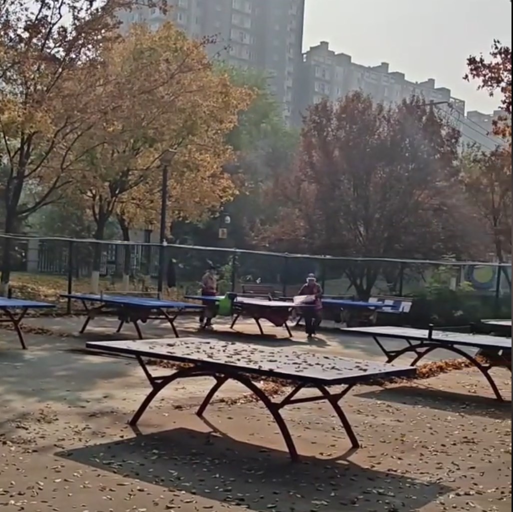 西局玉璞园西区-乒乓球场场地图片1