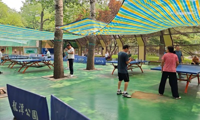 龙潭公园乒乓球场场地图片1