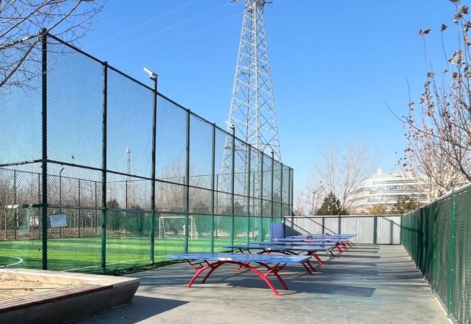 龙域社区公园乒乓球场场地图片1