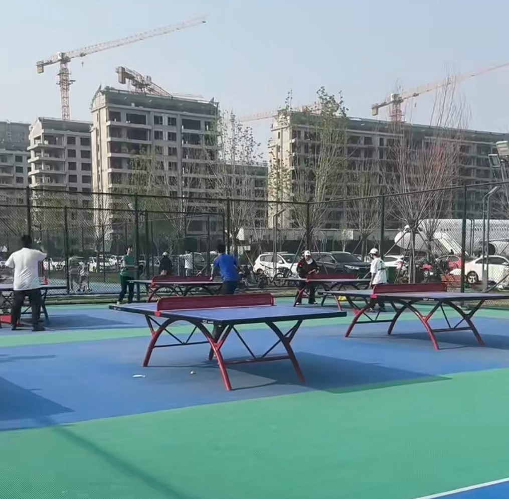 龙曜城体育公园乒乓球场场地图片1