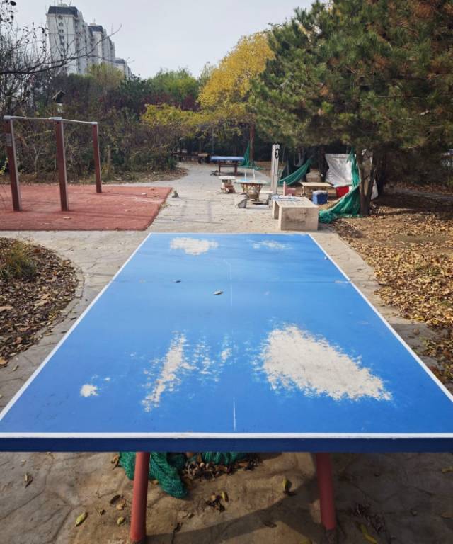 清溪园乒乓球台场地图片1