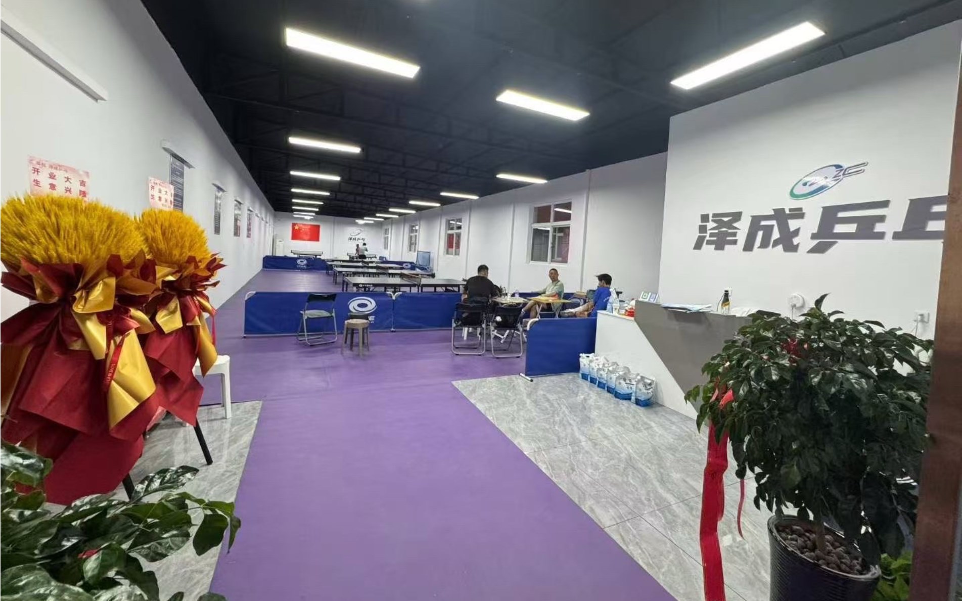 泽成乒乓场地图片1