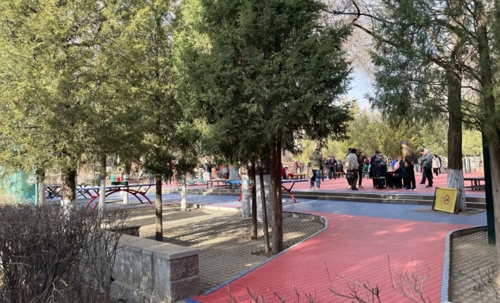 胜利公园场地图片1