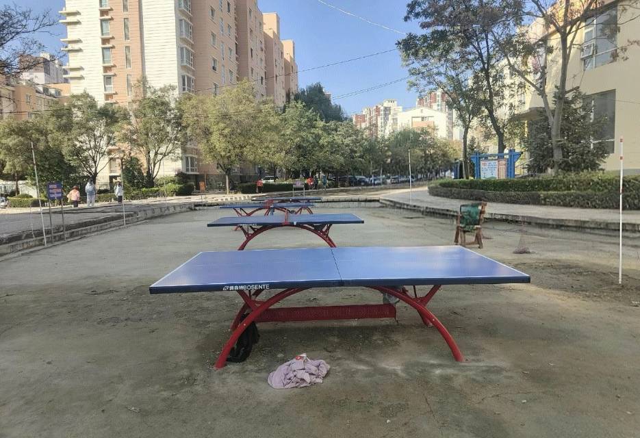 金鼎世纪城室外球台场地图片1
