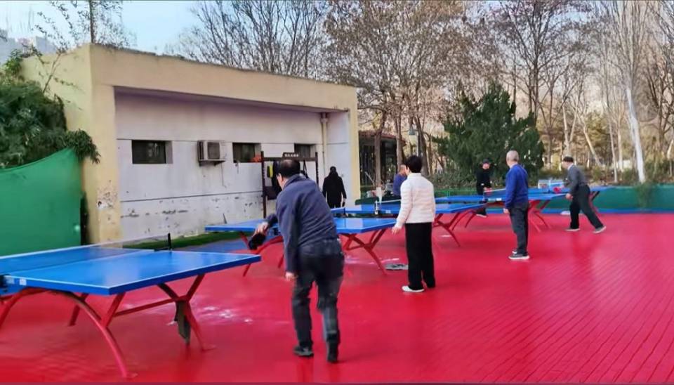 双金公园乒乓球场场地图片1