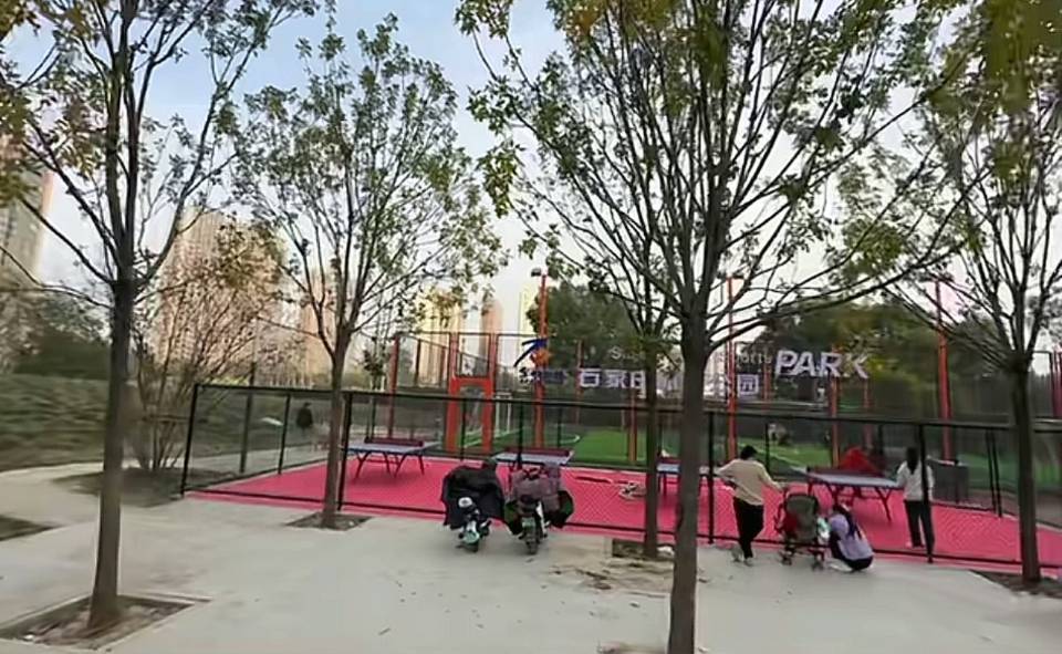 东岸职工体育公园乒乓球场场地图片1