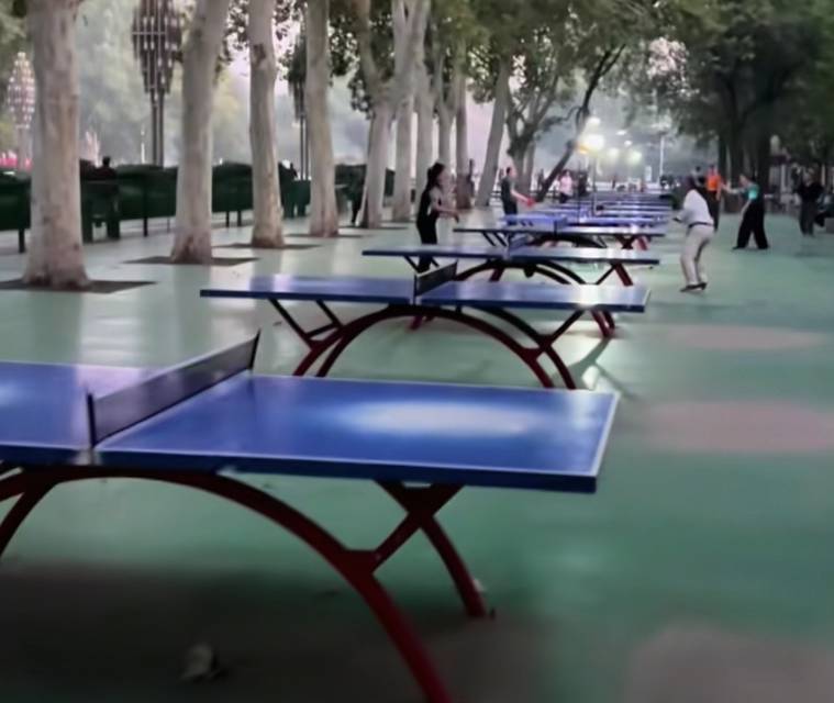 达活泉公园乒乓球场场地图片1