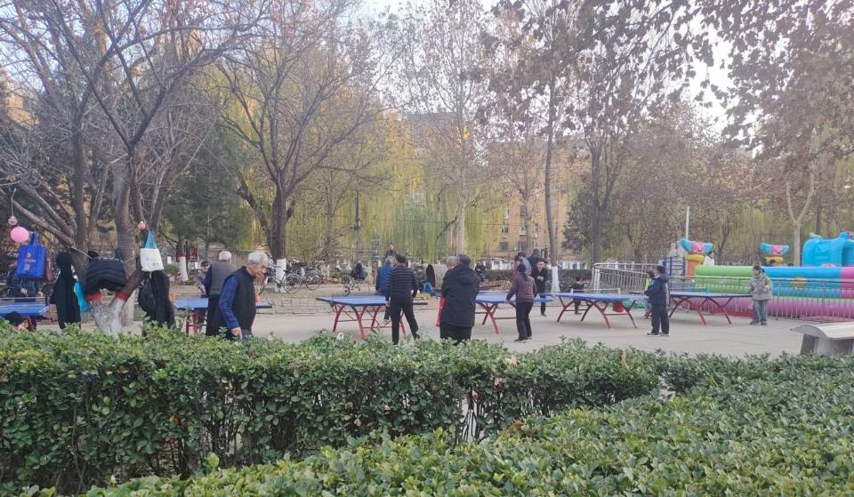 紫金公园乒乓球场场地图片1