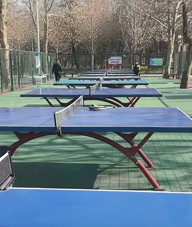 金凤公园乒乓球场场地图片1