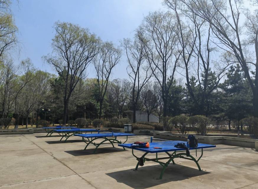 晋中体育公园乒乓球场场地图片1