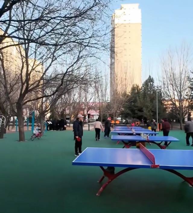 人民公园乒乓球场场地图片1