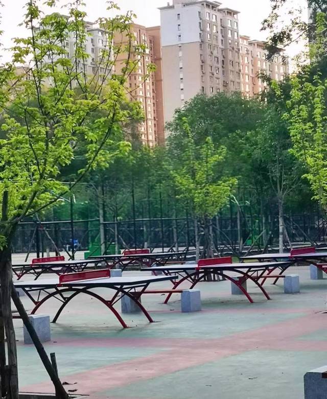 永乐公园乒乓球场场地图片1