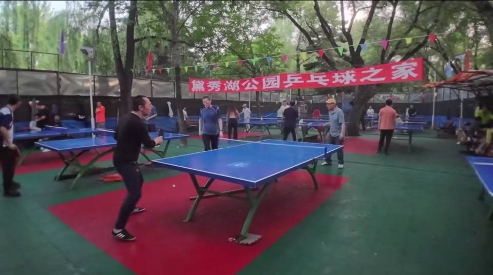 黛秀湖公园乒乓球场场地图片1